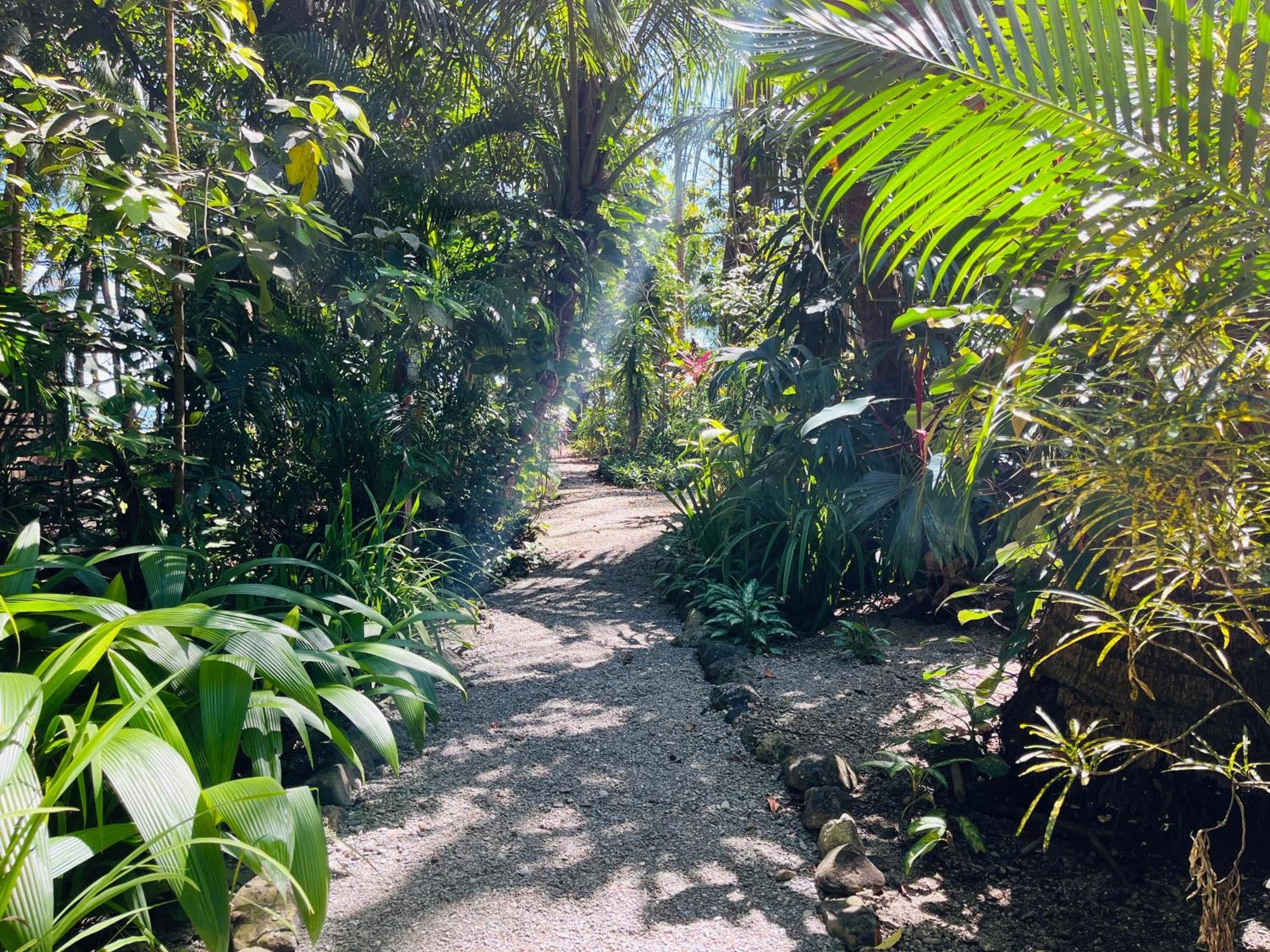 Calala Lodge Cabuya  Esterno foto