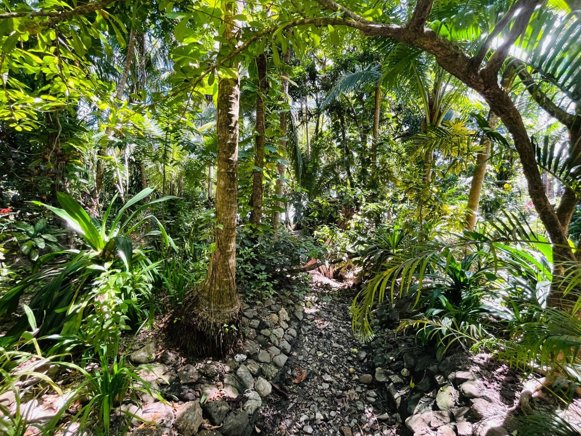 Calala Lodge Cabuya  Esterno foto