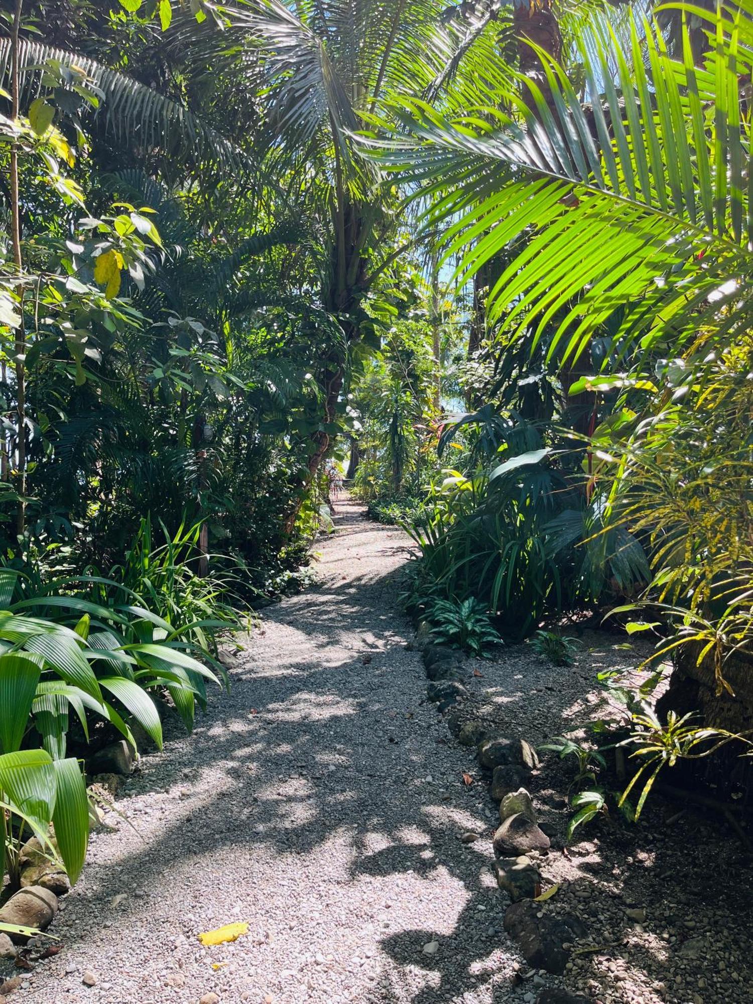 Calala Lodge Cabuya  Esterno foto